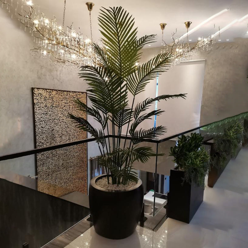 Tall Palm in Black Fiber Planter