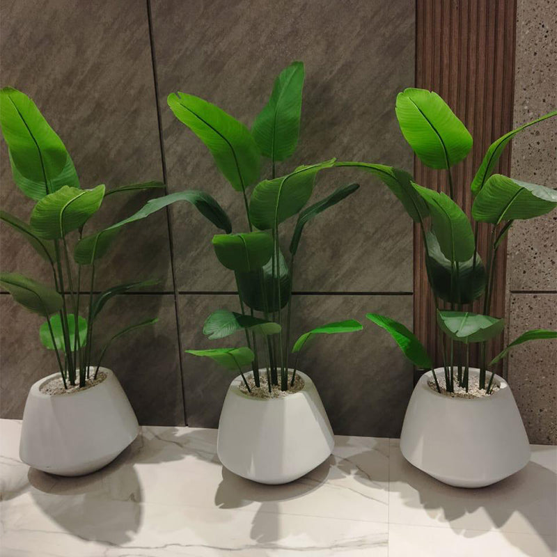 Contemporary Asymmetric White Planter